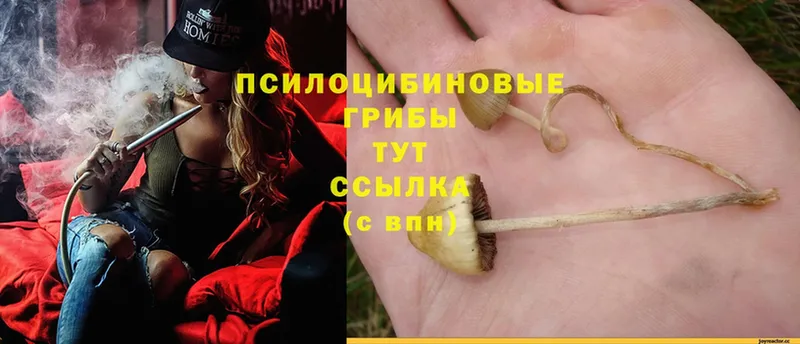 Галлюциногенные грибы Magic Shrooms  цена   Североуральск 